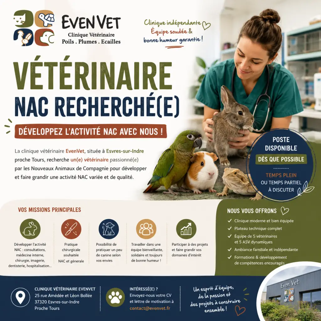 Visuel de recrutement vétérinaire NAC pour la clinique EvenVet à Esvres-sur-Indre, avec lapin, tortue, oiseau et reptile, destiné à développer l’activité NAC près de Tours.